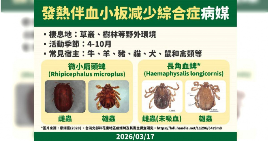 北部男染「SFTS蜱蟲病」全身無力、發燒想吐　疾管署：致死率最高達3成