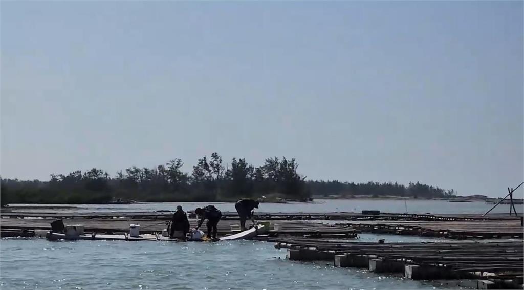 快新聞／嘉義布袋出現海上Uber！漁民載客蚵棚海釣　促進當地經濟