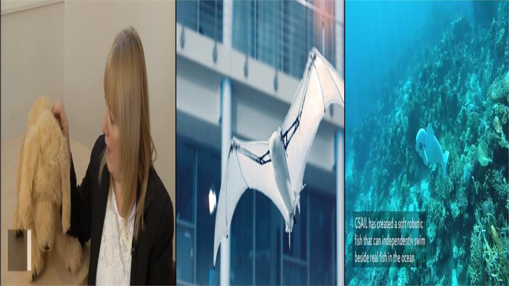全球／擬真機器魚、自駕重機 2018驚奇新科技特搜！
