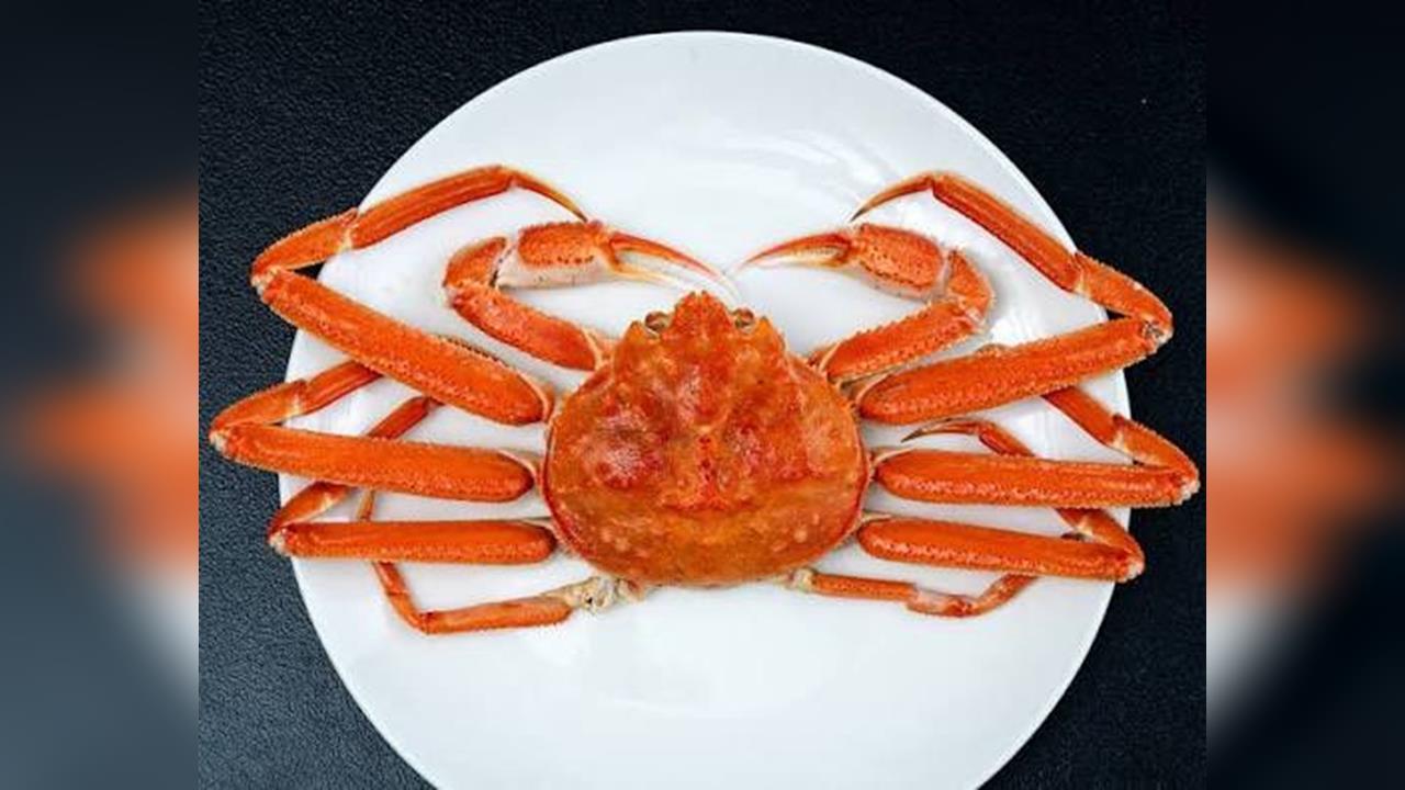 平民版! 日北海道「紅眼雪蟹」價格僅松葉蟹1/8 美味不減