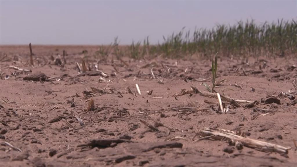 乾旱、肥料、人力成本飆漲　美國糧食通膨加劇