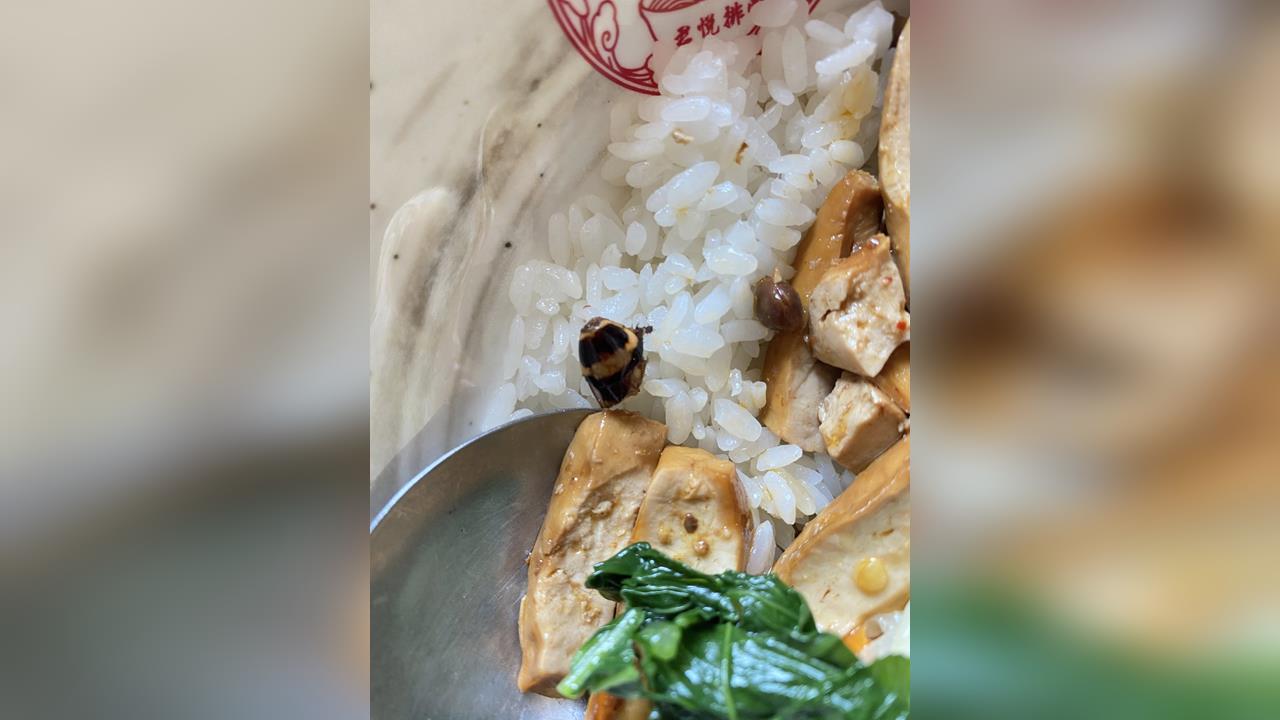 君悅排骨被爆飯菜驚現「蟑螂頭」 反映竟回「換一碗」當事人批冷處理