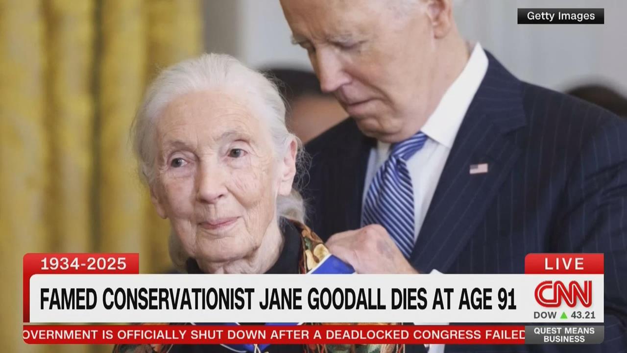 「黑猩猩之母」珍古德91歲辭世　今年6月才來台演說