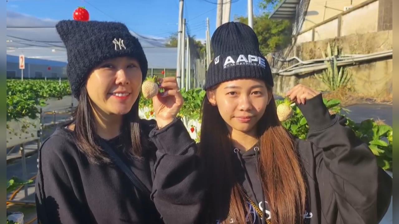 像妳一樣甜！　大湖種出日本「白」草莓一顆120元~150元