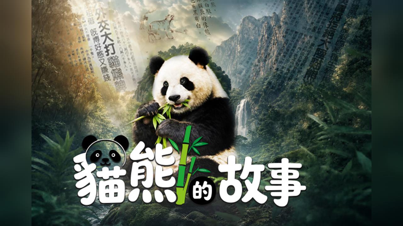【台灣演義】貓熊還是熊貓？　肉食動物改吃竹子竟越長越大隻