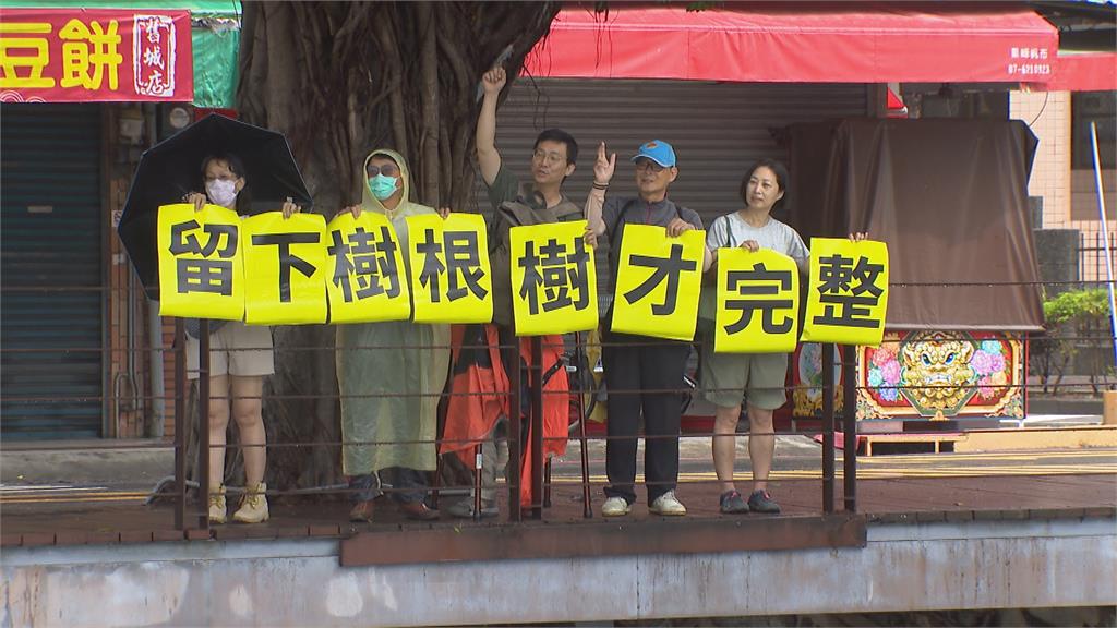 護樹團體、民代極力爭取！高雄「天空之城樹」確定保留