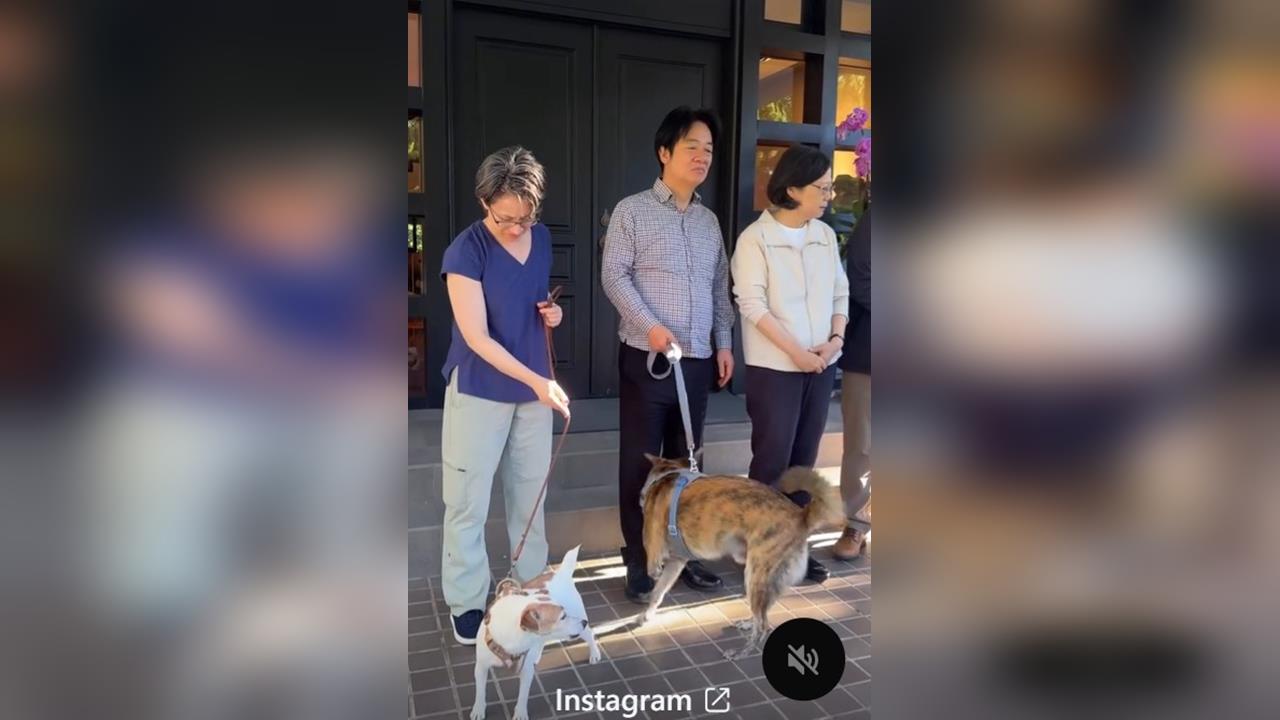 快新聞/賴清德、蔡英文同框曬毛孩 「總統級狗狗」官邸內追逐超療癒