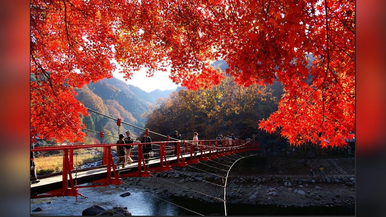 雄獅推星空、煙火、鐵道三大賞楓玩法獨包日本立山飯店觀群星   釜山秋遊璀璨煙火秀