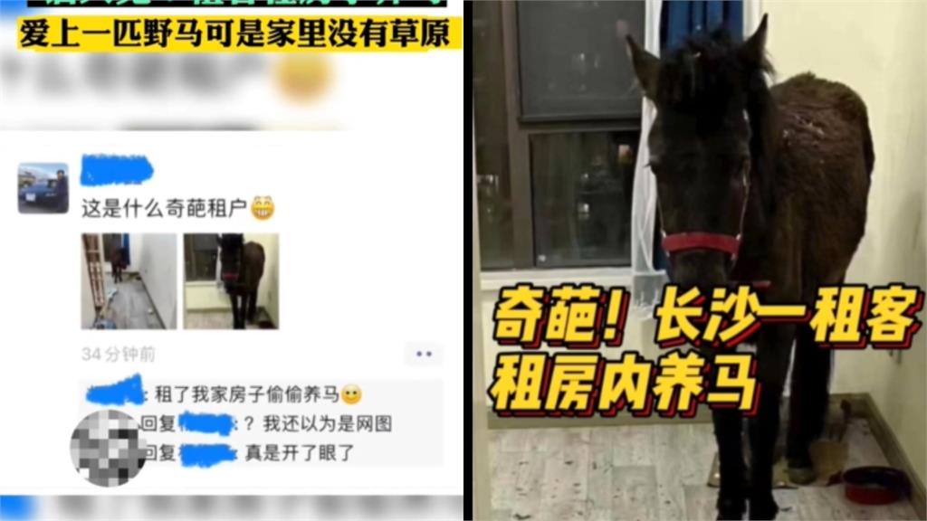 房東同意租客養寵物！開門驚見「一匹馬」愣了…慘況曝光網笑翻