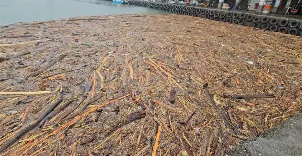 漂流木塞滿宜蘭漁港　300艘船隻停擺無法出港