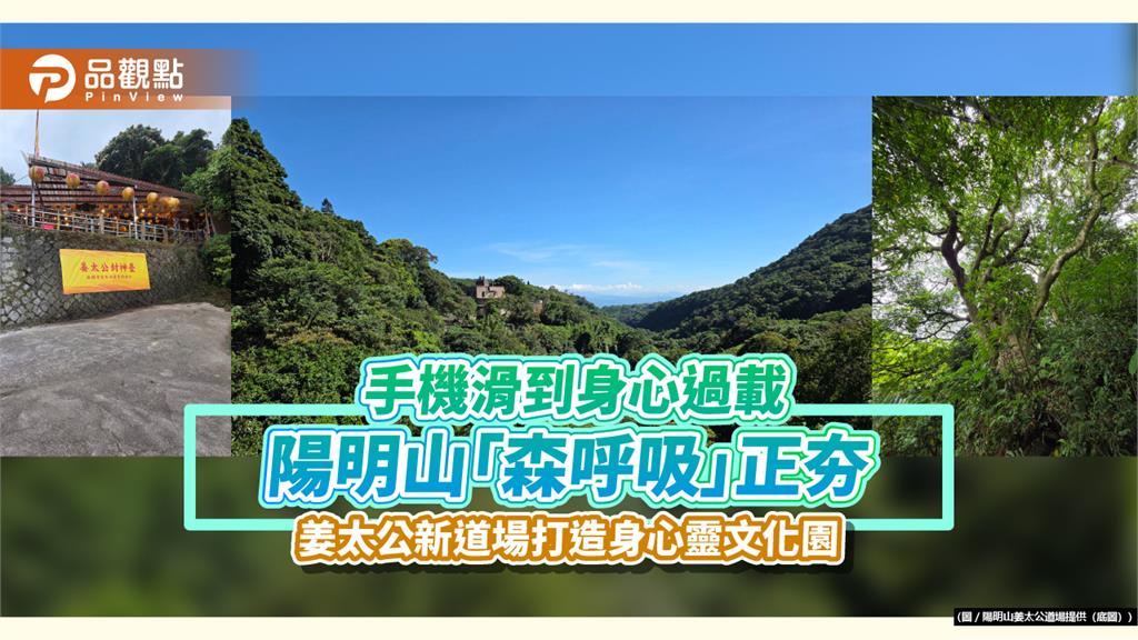 手機滑到身心過載　陽明山「森呼吸」正夯　姜太公新道場打造身心靈文化園