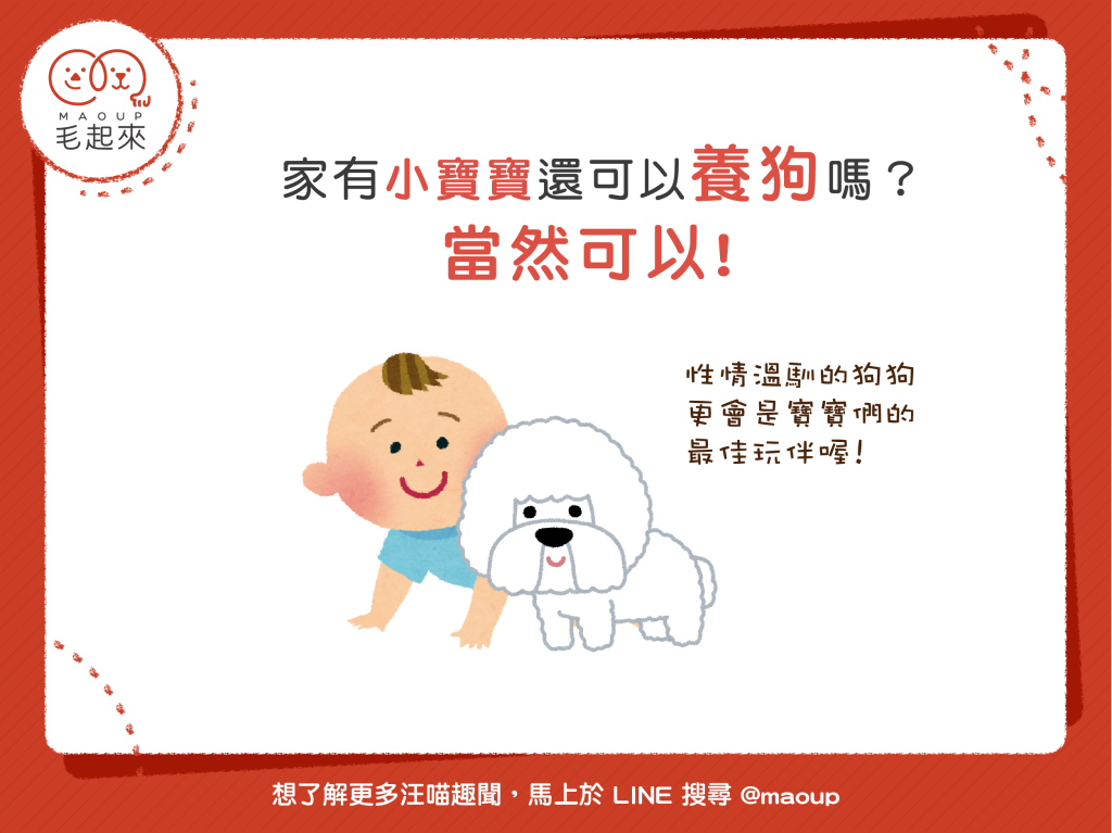嗷嗚～我是最佳狗保母！適合有孩童家庭養的10種狗狗
