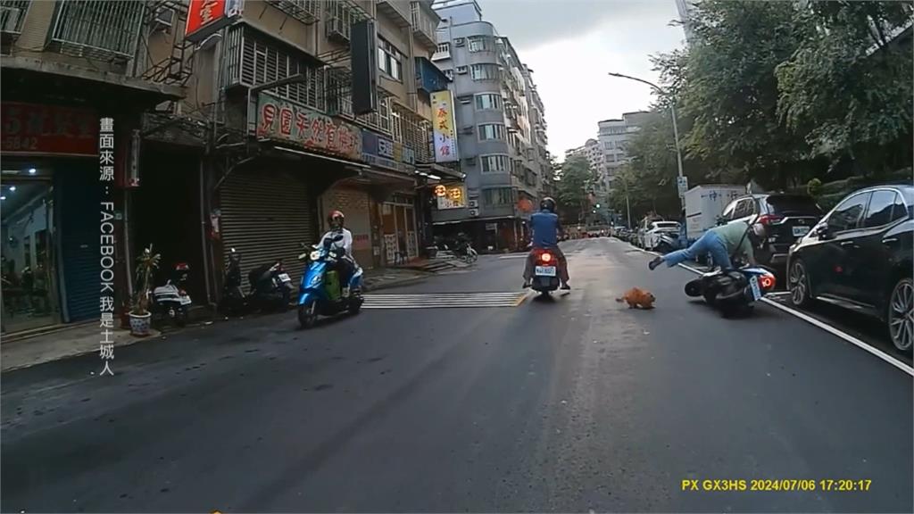 遛狗沒牽繩! 狗狗失控暴衝 飼主需依法負責