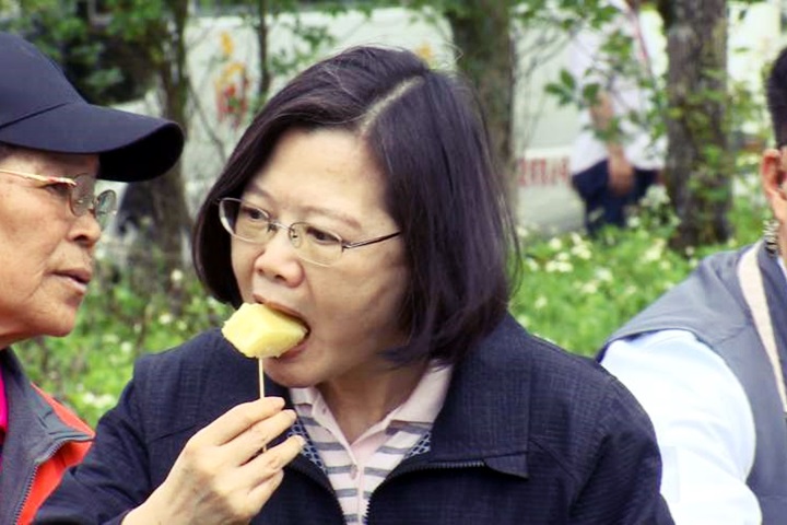 小英總統旅花蓮第二天 採土鳳梨現殺現吃