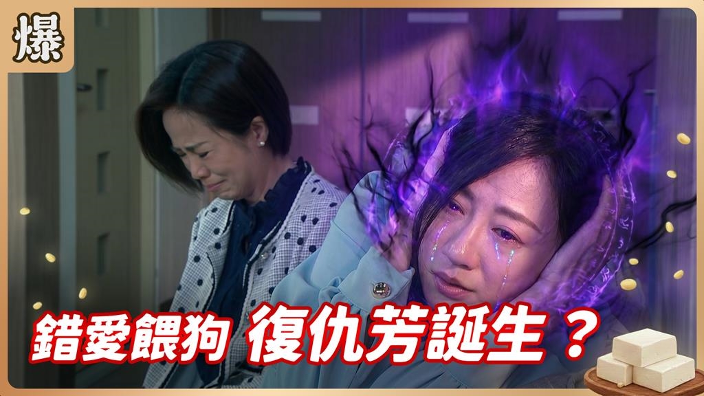 被欺騙感情整整二十年！戀愛腦熟女這次不吞了？《豆腐媽媽-EP80精彩片段》