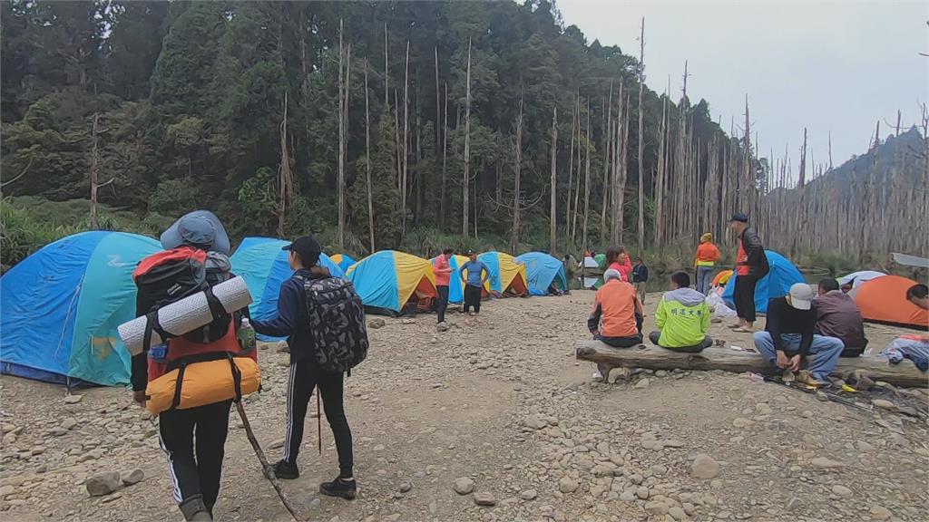 水漾森林竄出虎頭蜂　逢甲大學登山社9人受傷被螫傷