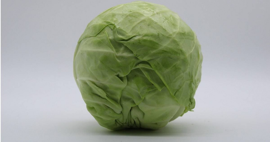 一票人嫌歐美高麗菜難吃！「像咬塑膠玩具」　內行人曝：要買尖頭的