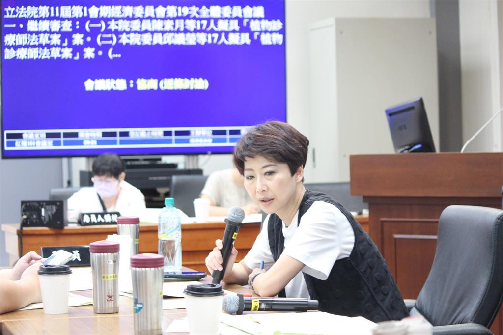 快新聞／入黨核心爭台南市長提名！　陳亭妃曝「他」也想選：盼公平競爭
