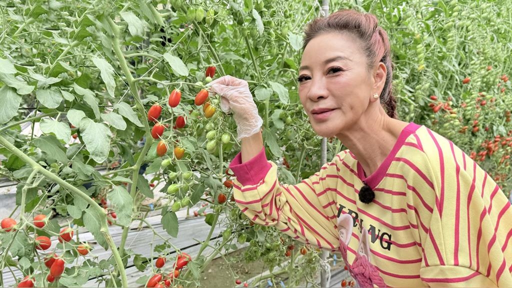 錄影到一半撞見活春宮！楊繡惠吃驚「還有聲音」 羞澀畫面全都錄