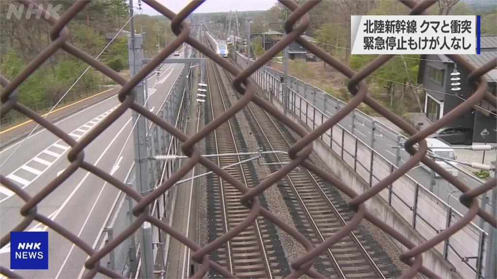 北陸新幹線行經長野輕井澤路段　列車撞上熊