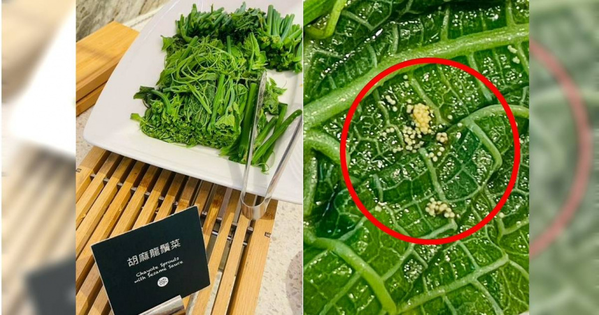 高雄某5星飯店早餐驚見數粒蟲卵　民眾憂食安把關不當！業者致歉並已和解
