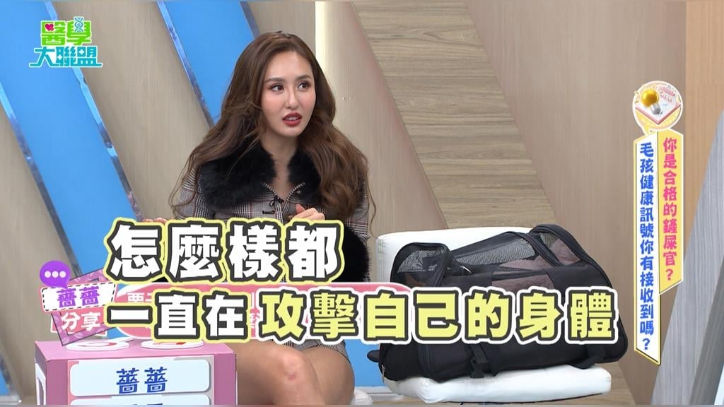 薔薔《醫學大聯盟》砸十萬救毛孩「免疫風暴」：搬家、打針時機竟是關鍵