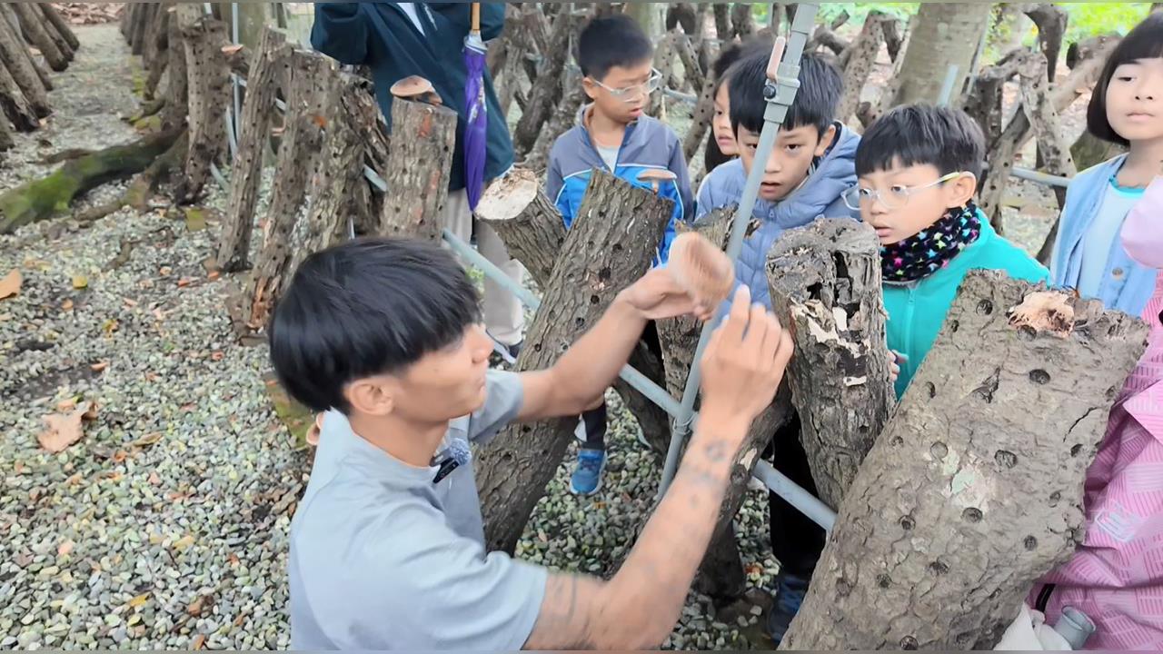 冬季限定!段木香菇栽培課程 免費用免報名參加