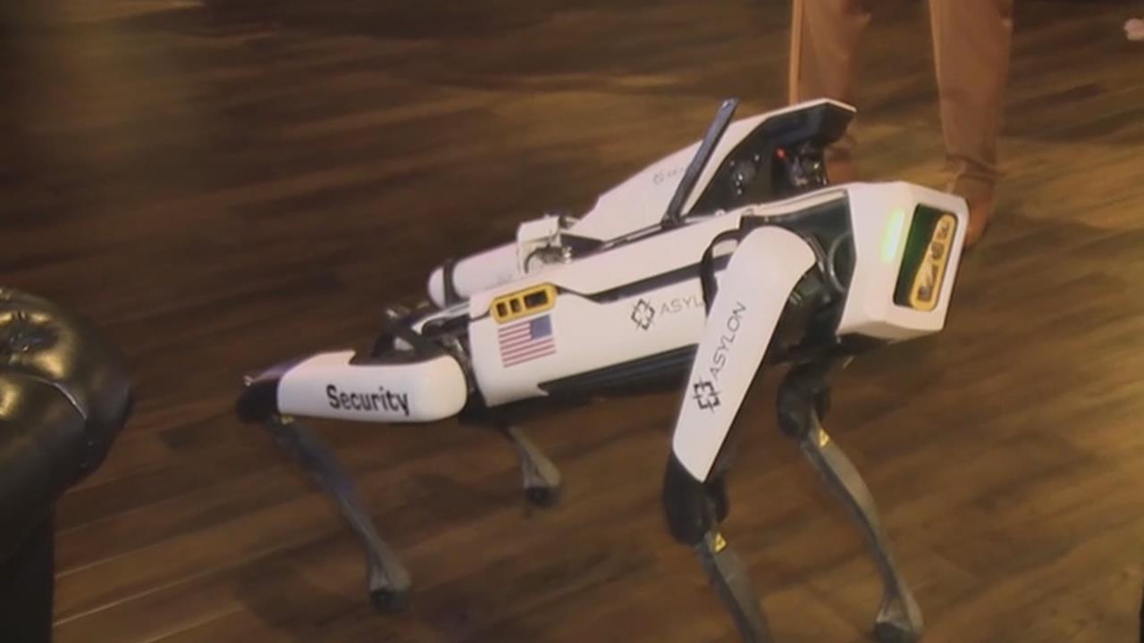 拉斯維加斯進駐「機器狗」　能自行巡邏也可遠端操控