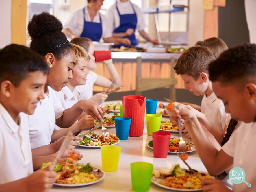 全球1.59億青少年肥胖　WHO發布校園飲食指引強化供餐制度