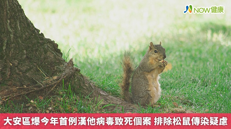 大安區爆今年首例漢他病毒致死個案 排除松鼠傳染疑慮