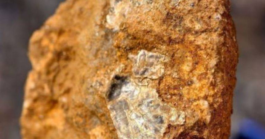 底下有黃金！8歲童爬山揪出「2特徵」比對吻合　專家證實：機率很高