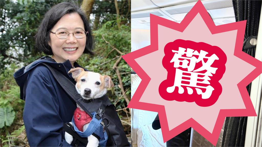 搭機鄰座「帥炸霸總」竟是蔡英文！偷拍遭抓包「表情秒變」網暈爛：天啊⋯