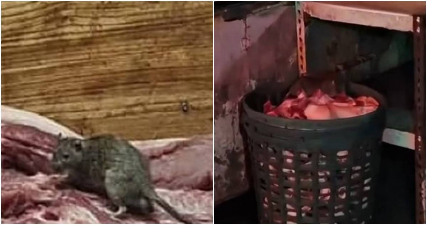 菜市場肉攤驚見「料理鼠王」　網笑：主廚親自驗收肉品