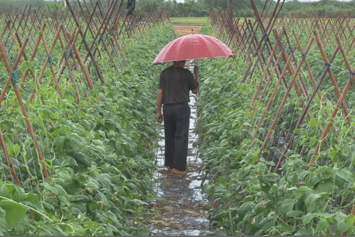 月初梅雨慘淹 雲安養院一級備戰