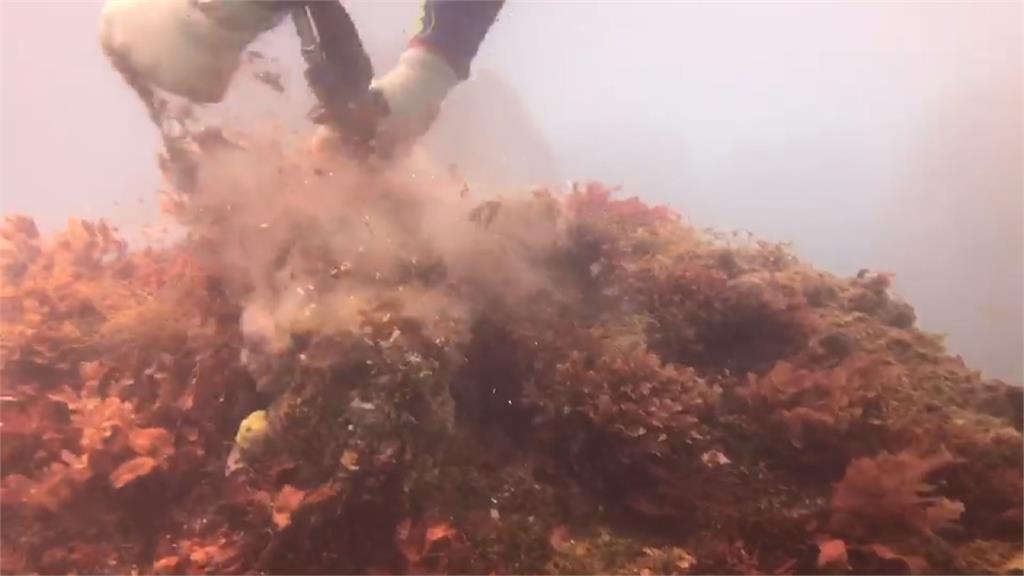 海底廢棄魚網多！搶救珊瑚礁大作戰