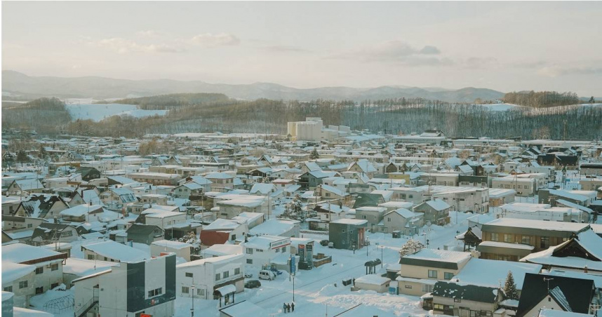 北海道蟑螂「3原因」激增！專家破解迷思：1品種百年前已定居當地