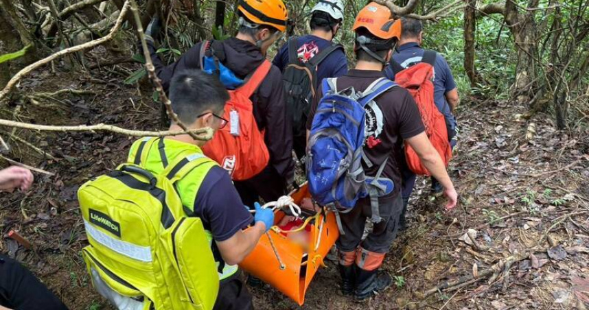 新北貢寮福卯古道驚傳蜂襲　4名山友遭螫傷送醫