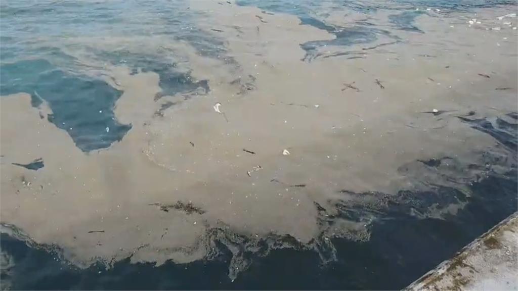 日本海底火山噴發浮石　東北季風吹來綠島？
