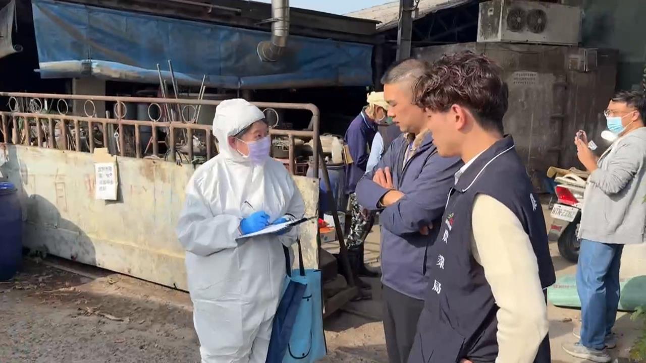 台中大肚一處養豬場遭爆廚餘養豬！　業者喊冤是在煮水