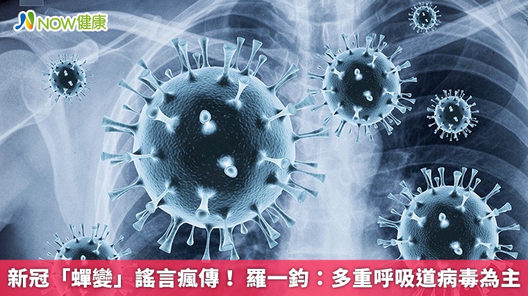新冠「蟬變」謠言瘋傳！ 羅一鈞：多重呼吸道病毒為主