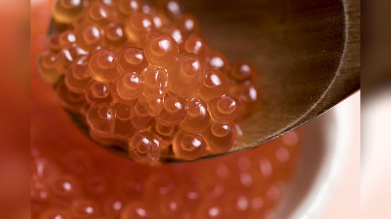 日本鮭魚卵產量銳減 價格飆漲為去年2倍