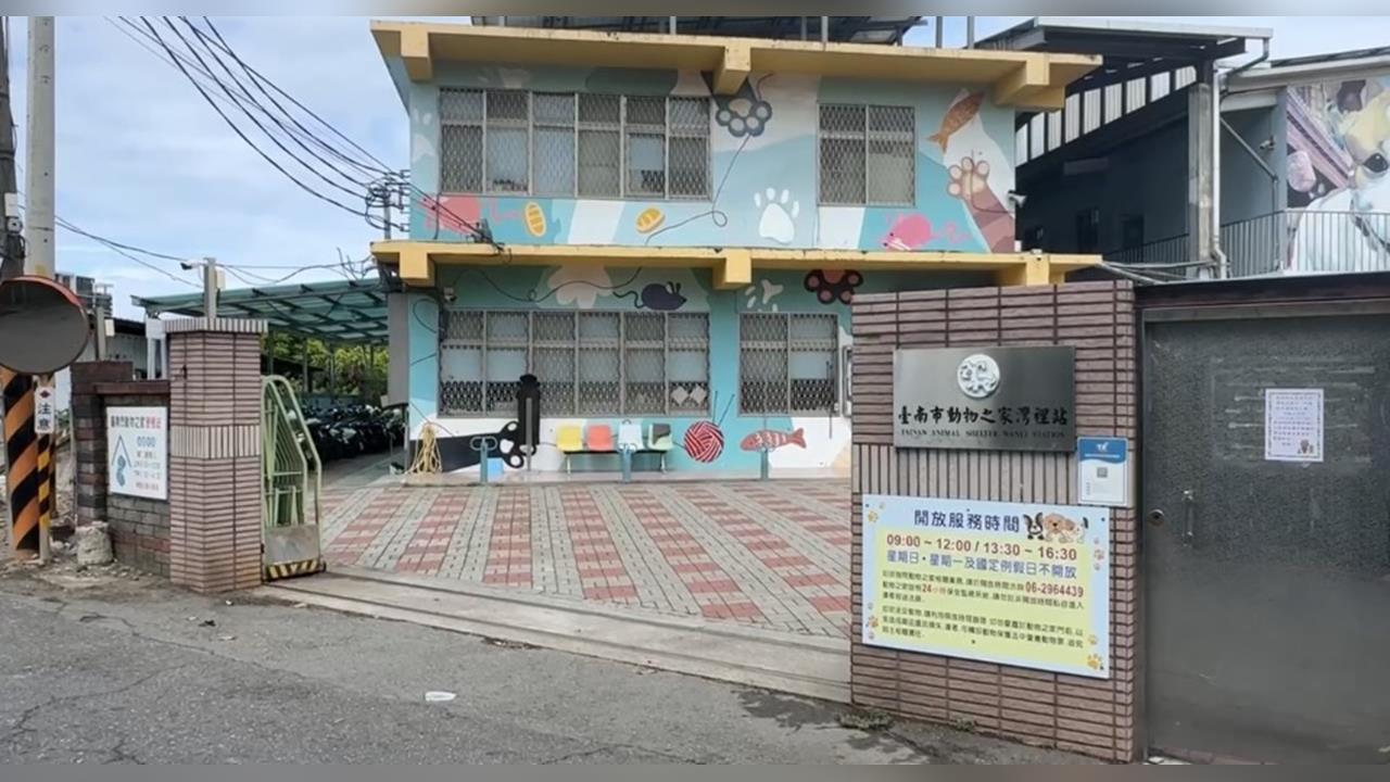 公務車載浪犬丟包台南？　高雄動保處認了「這樣說」