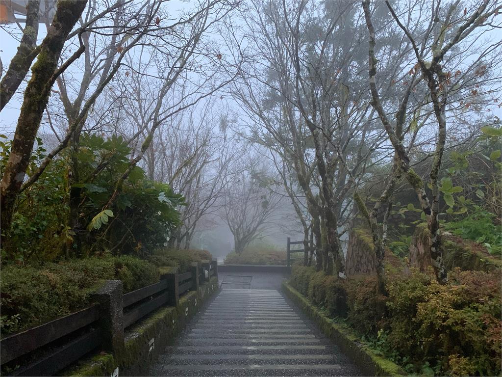 [2019/12/03]冷氣團發威！明日開始各地天氣轉濕冷