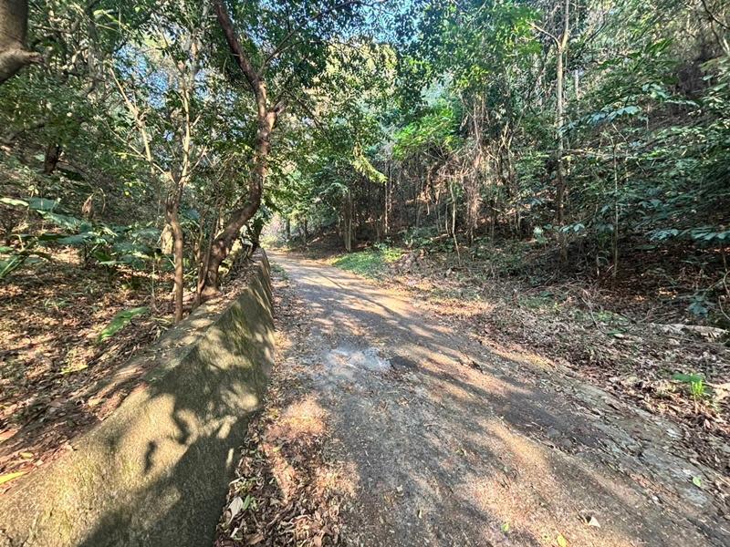 男遭「削臉挖眼」棄屍！彰化駭人命案　兩主嫌收押