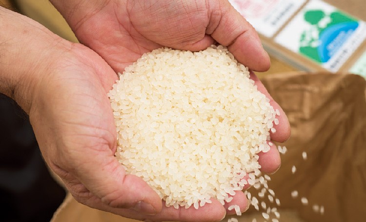 日本米價連漲１６週　茨城縣倉庫被偷４２０公斤白米
