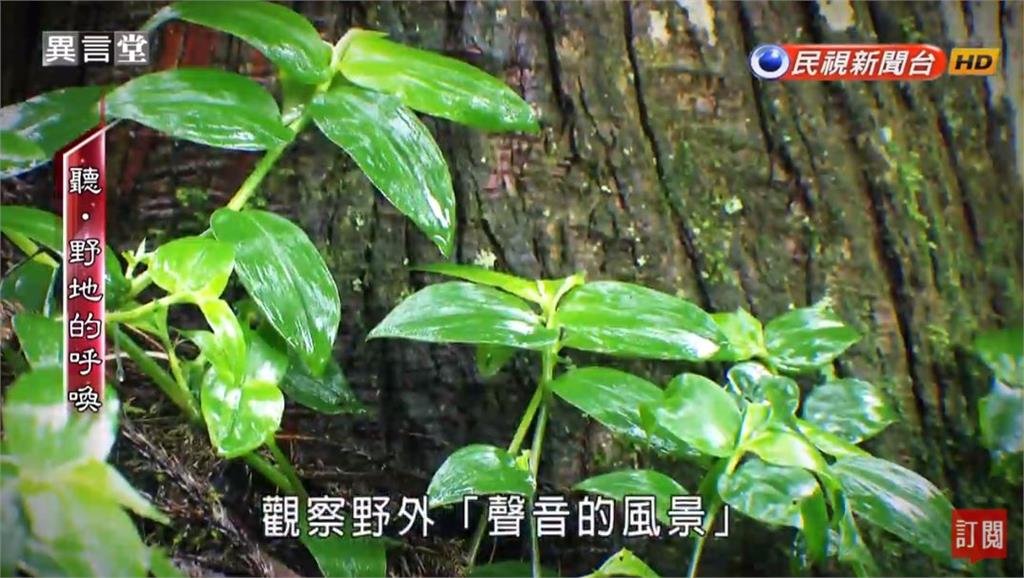 異言堂／寂靜中聽「自然」聲　台灣聲景協會推動聲音教育的故事