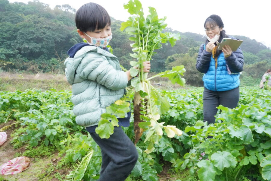 新年走春!體驗農民豐收樂趣 新北青農推食農體驗