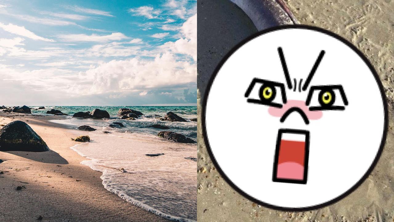 英國海灘見「詭異巨型生物」無生命跡象…當地居民嚇爛:完全沒看過!