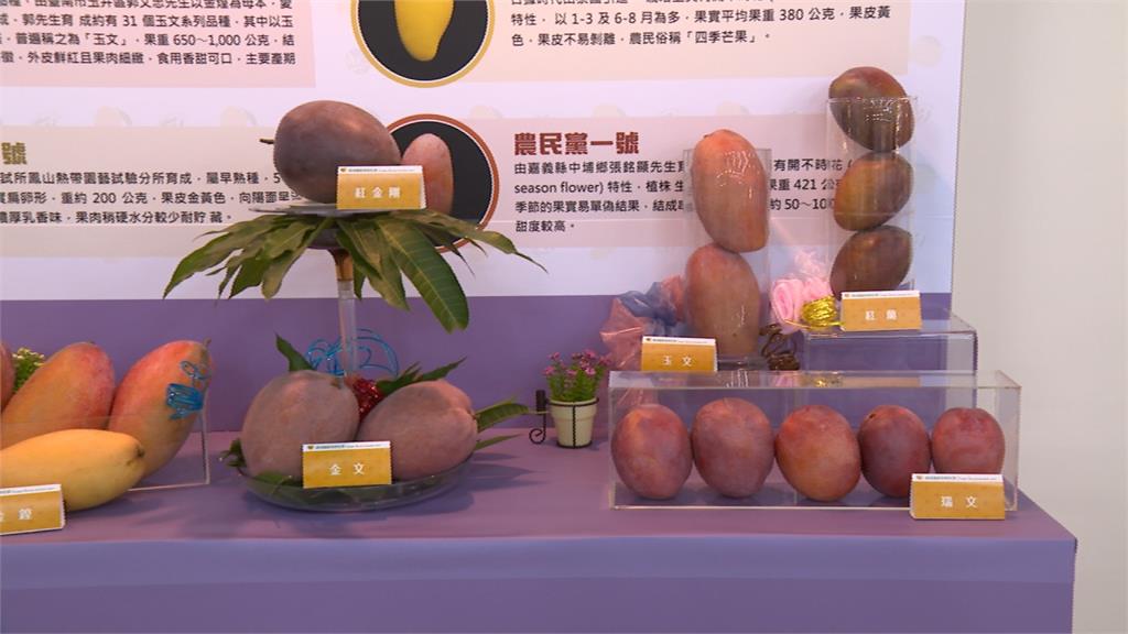新科技加值芒果產業鏈！農委會宣傳「芒果的100種可能」 