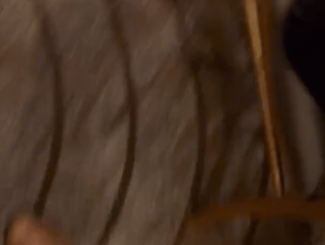 快新聞／「主廚」出逃？北市慶功宴驚見老鼠狂奔　全場驚叫「嚇到雙腳抬高」